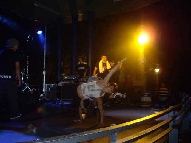 Hernani-Elkartasun eguna 2008 (10).jpg