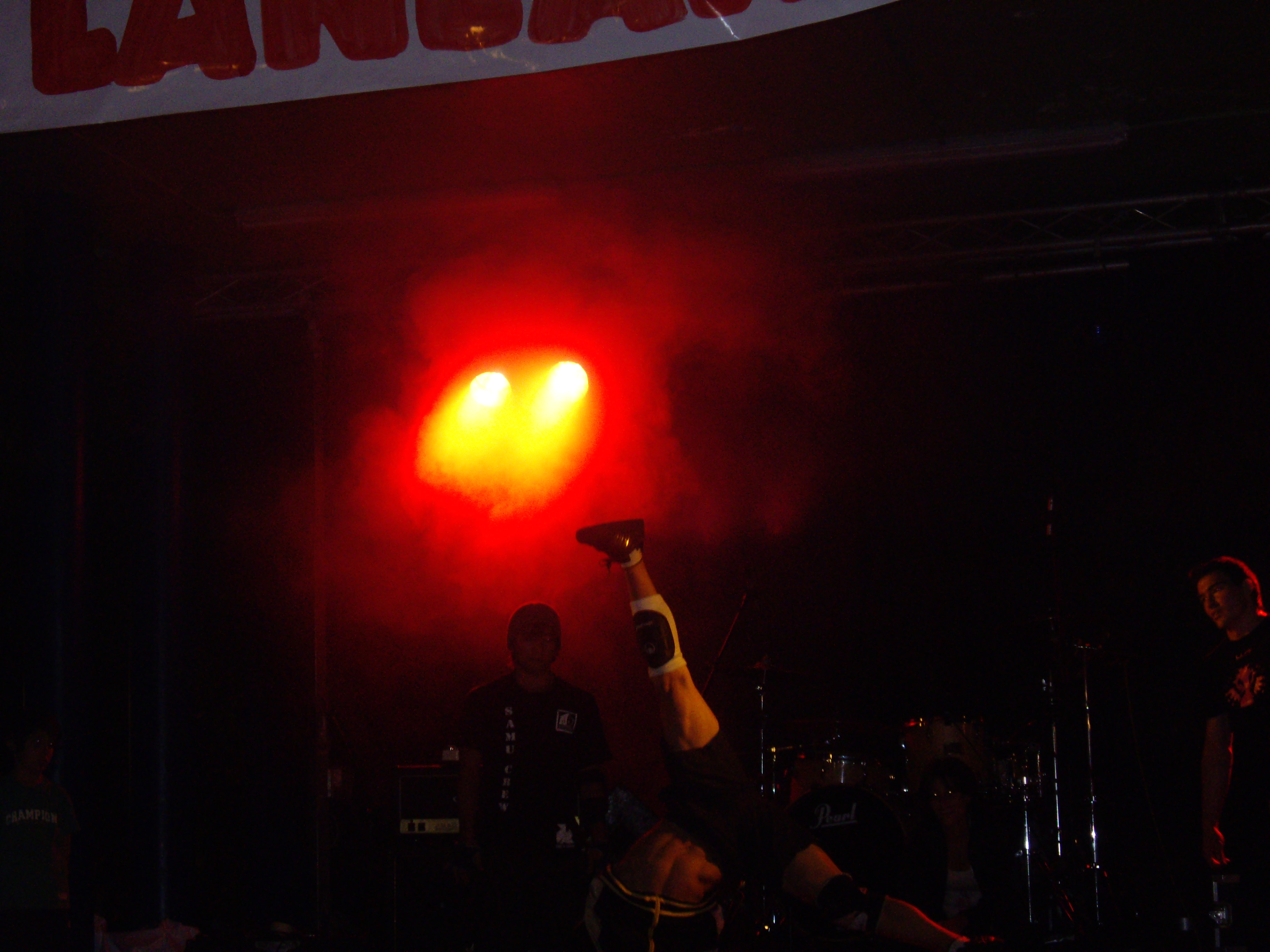 Hernani-Elkartasun eguna 2008.JPG