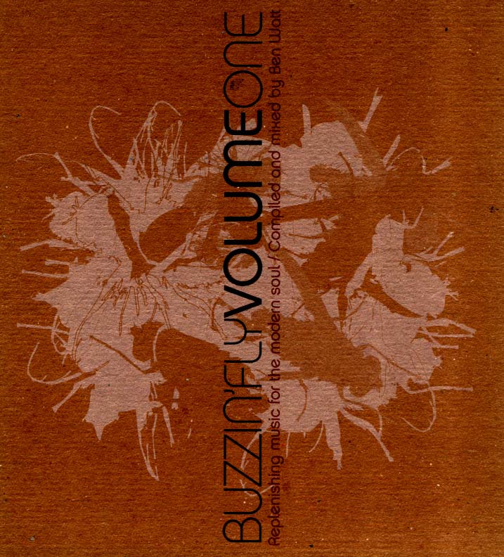 BUZZIN FLY - vol 1.jpg